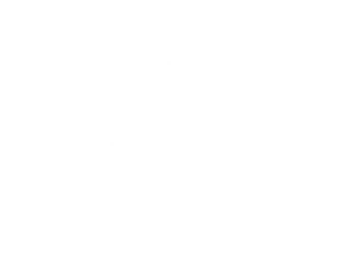 Step 4